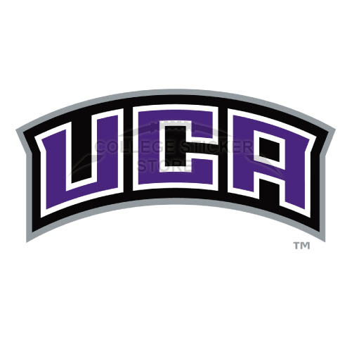 Customs Central Arkansas Bears Iron-on Transfers (Wall Stickers)NO.4105